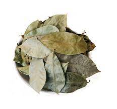 Dried Soursop Leaves