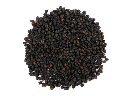 Elderberry